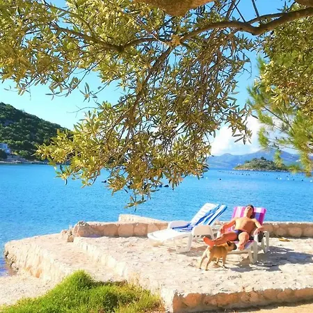 Luxury At Dubrovnik Riviera Villa Brijesta