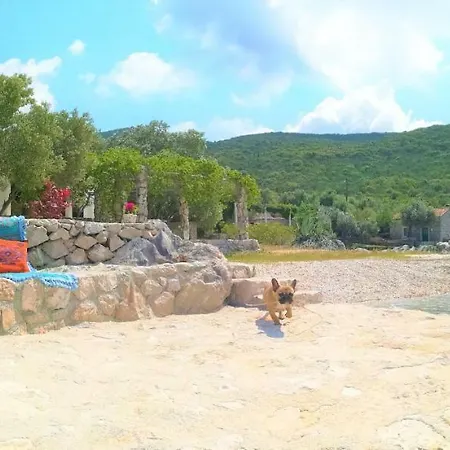 Villa Luxury At Dubrovnik Riviera Brijesta